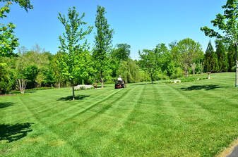 lawn-mowing-silver-spring-lawn2